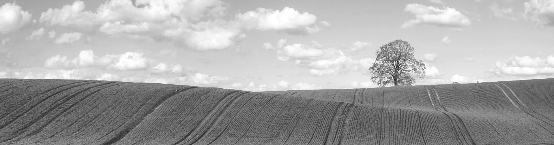 TRANSITION ÉNERGÉTIQUE